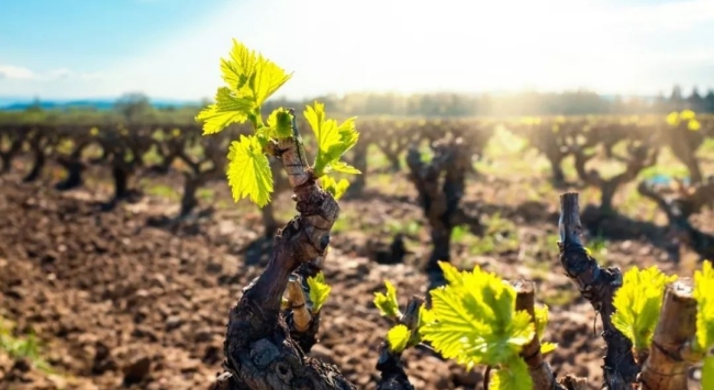 968_副本 968_副本